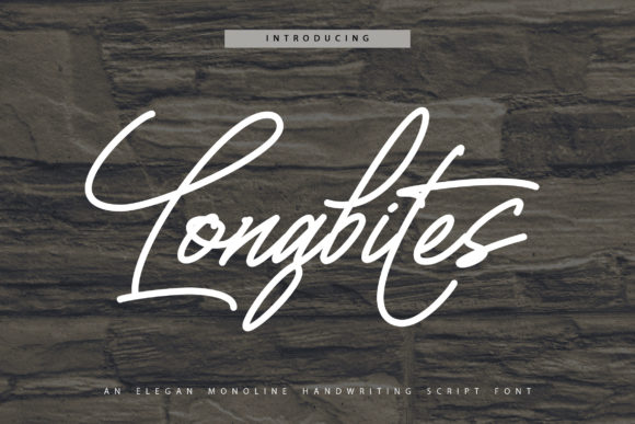 Longbites: Vintage Script Font for Creative Projects
