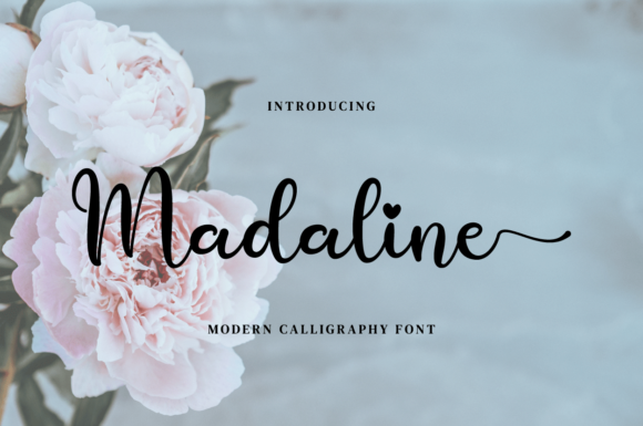 Madaline Font: Elegant Script for Web Design