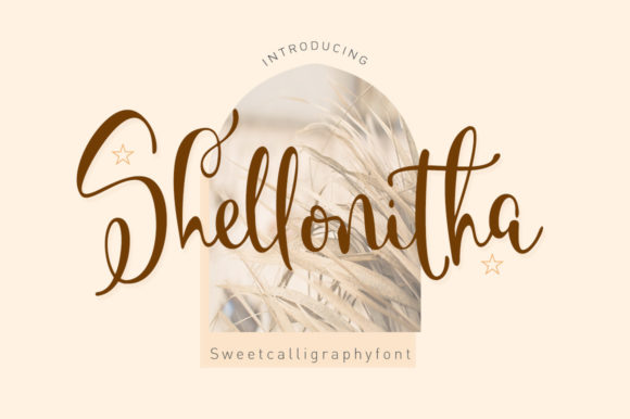 Shellonitha Font for Business